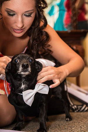 McNally Wedding-0927-77
