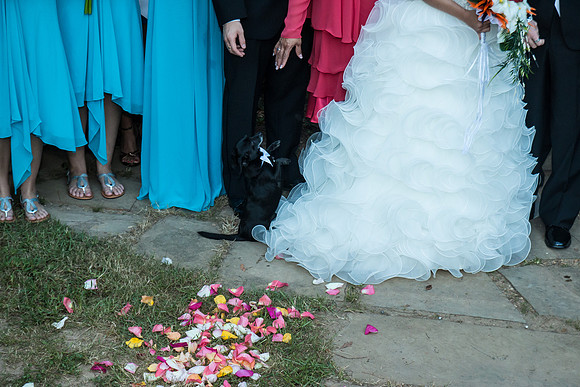 McNally Wedding-1131-327