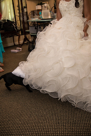 McNally Wedding-0986-203