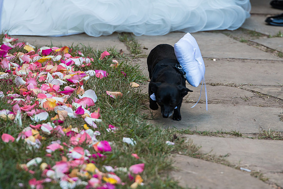 McNally Wedding-1059-264