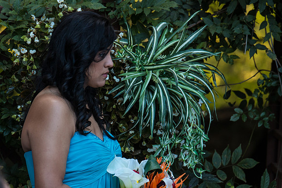 McNally Wedding-1063-268