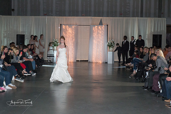 Event Photographer