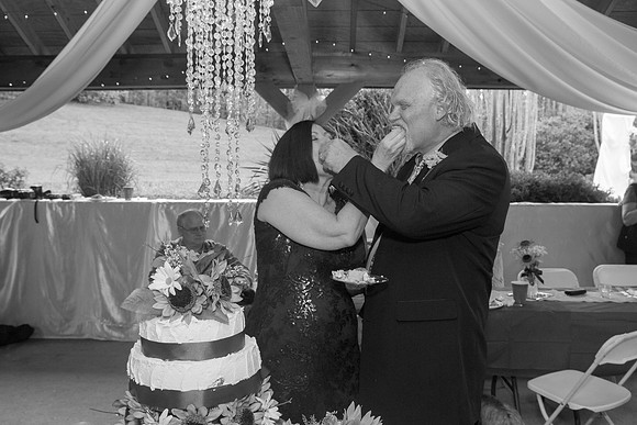 Wedding 041915-9198-2