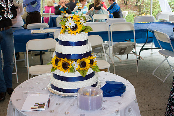Wedding 041915-0100